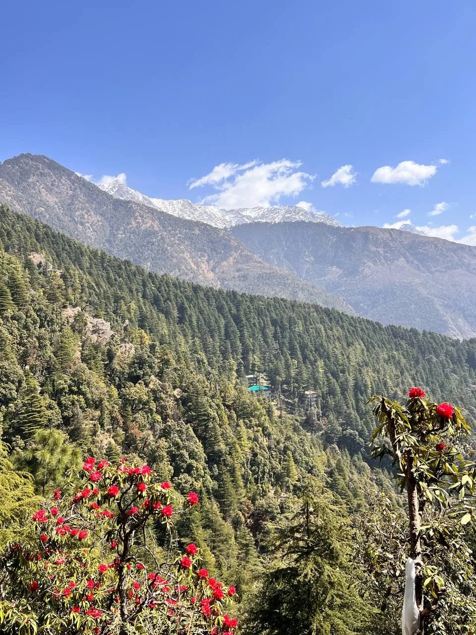 Community art space at Dharamkot Studio Himachal Pradesh for pottery workshops and studio visits.