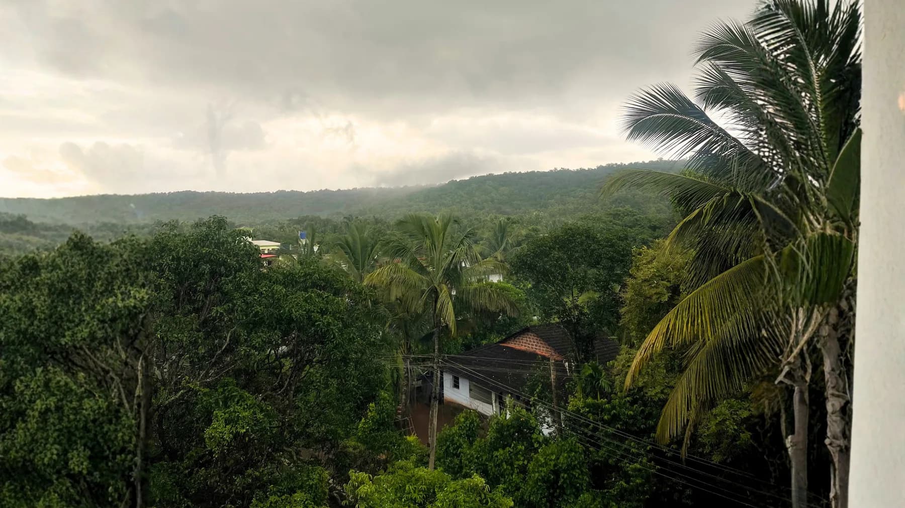 A lush green view of palm trees, village rooftops, and forested hills around Mandrem in North Goa.